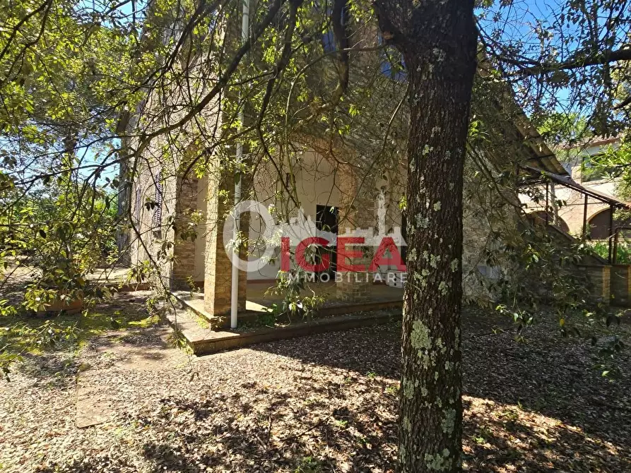 Immagine 12 di Casa indipendente in vendita  a Chiusdino