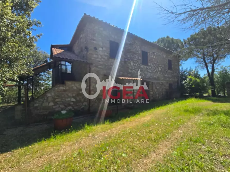 Immagine 13 di Casa indipendente in vendita  a Chiusdino