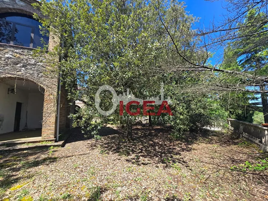 Immagine 7 di Casa indipendente in vendita  a Chiusdino