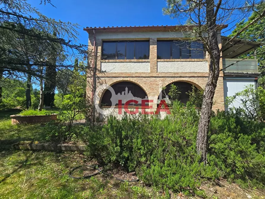 Immagine 5 di Casa indipendente in vendita  a Chiusdino