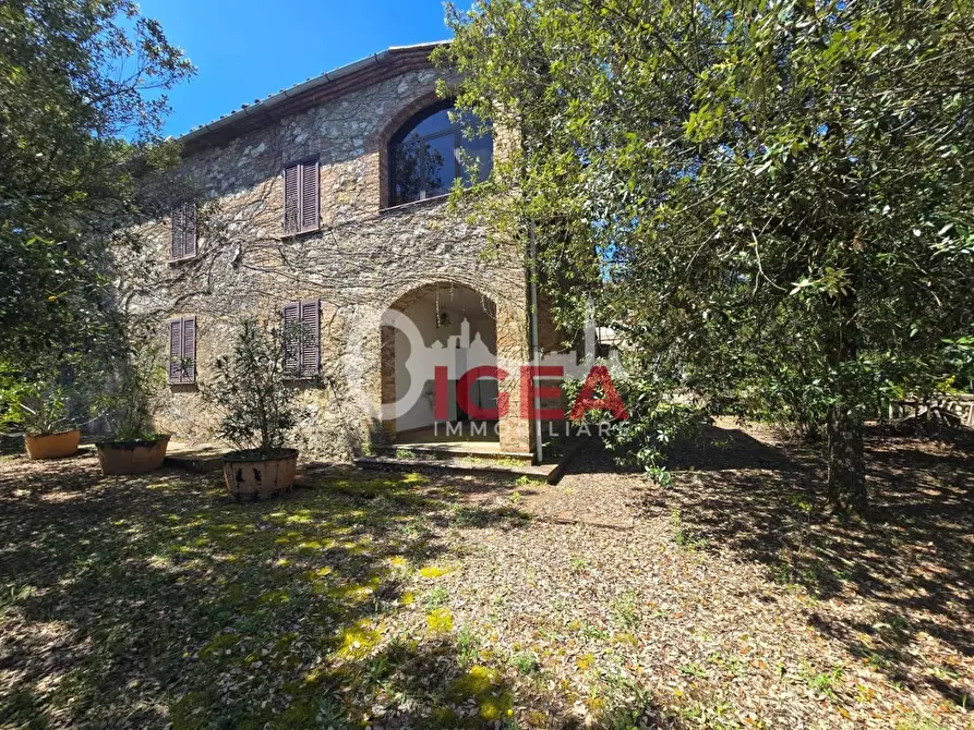 Immagine 11 di Casa indipendente in vendita  a Chiusdino