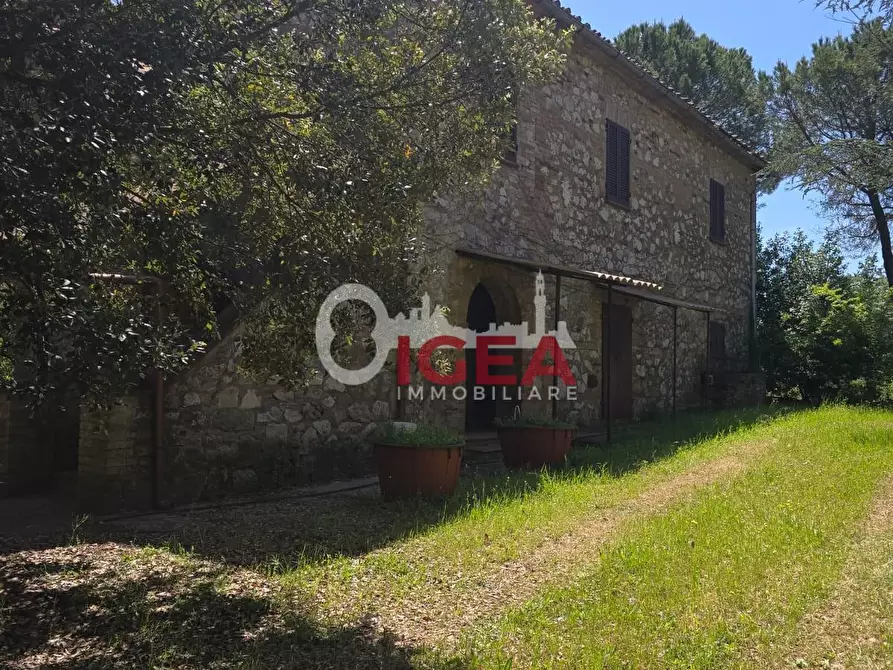 Immagine 14 di Casa indipendente in vendita  a Chiusdino