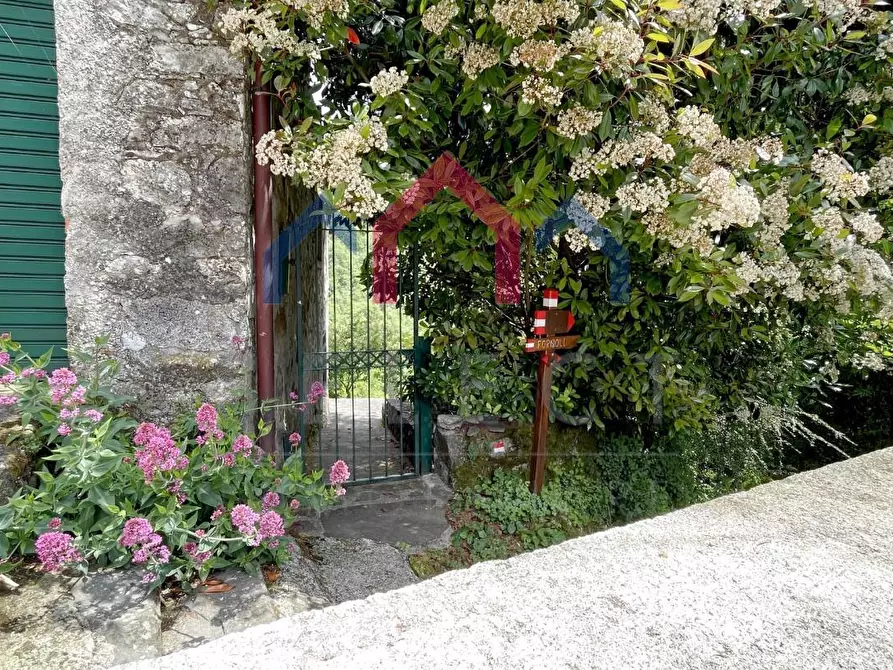Immagine 3 di Terratetto in vendita  a Bagni Di Lucca