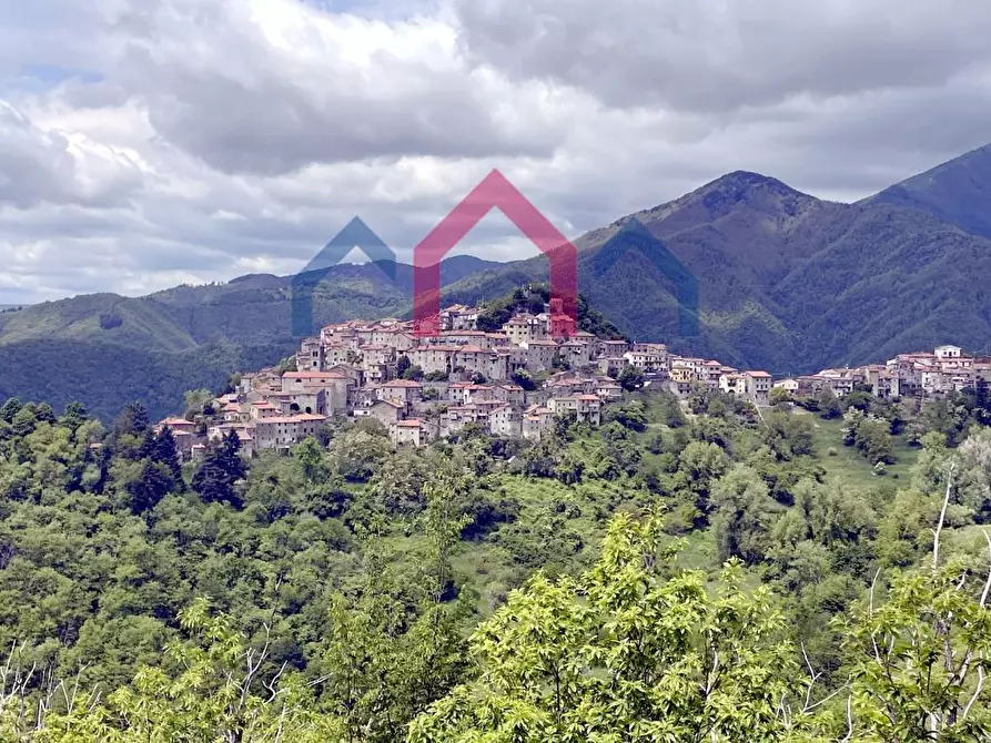 Immagine 53 di Terratetto in vendita  a Bagni Di Lucca