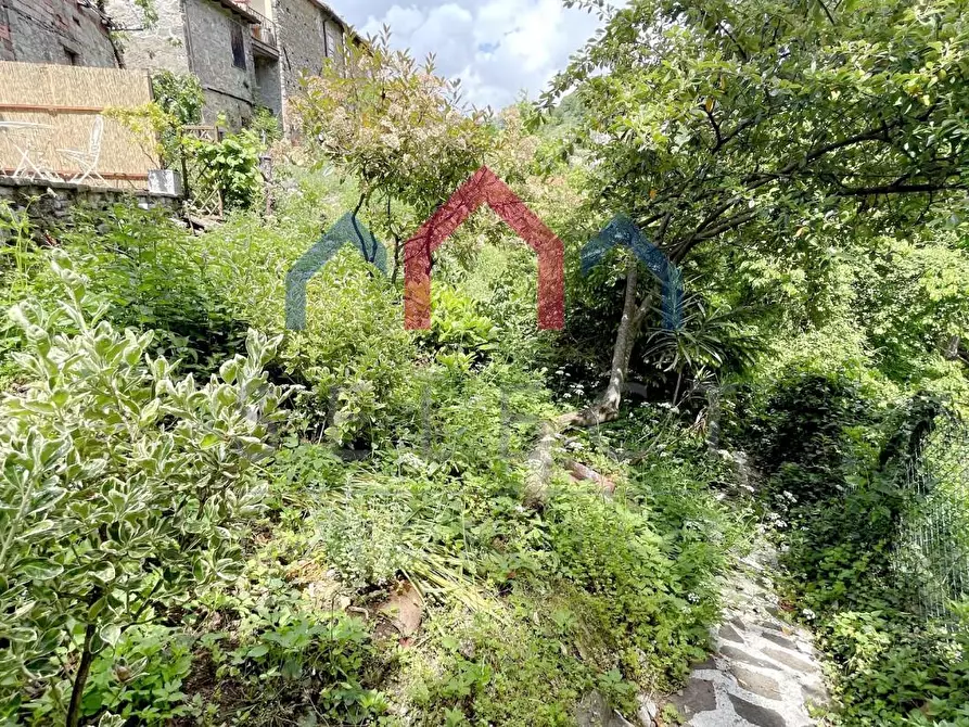 Immagine 47 di Terratetto in vendita  a Bagni Di Lucca