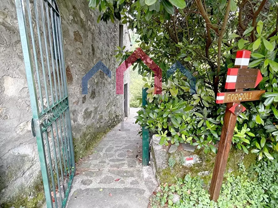 Immagine 36 di Terratetto in vendita  a Bagni Di Lucca
