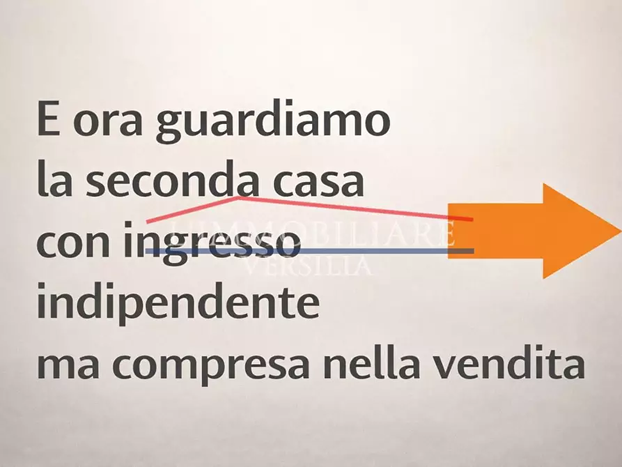 Immagine 28 di Villa in vendita  a Massa