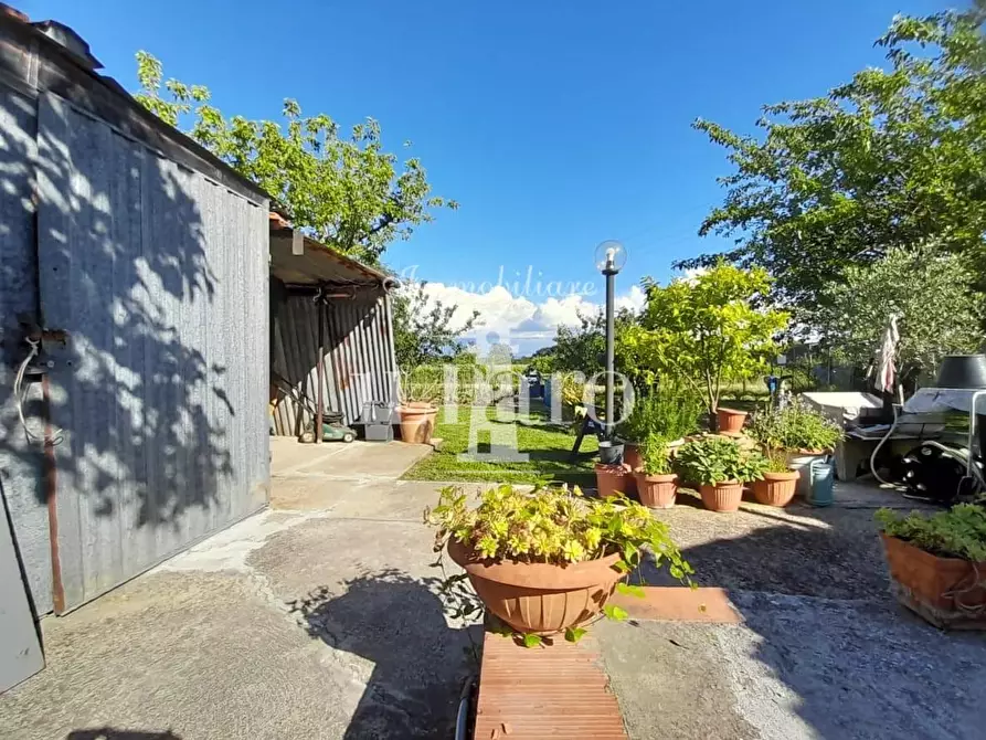 Immagine 4 di Terratetto in vendita  a Signa