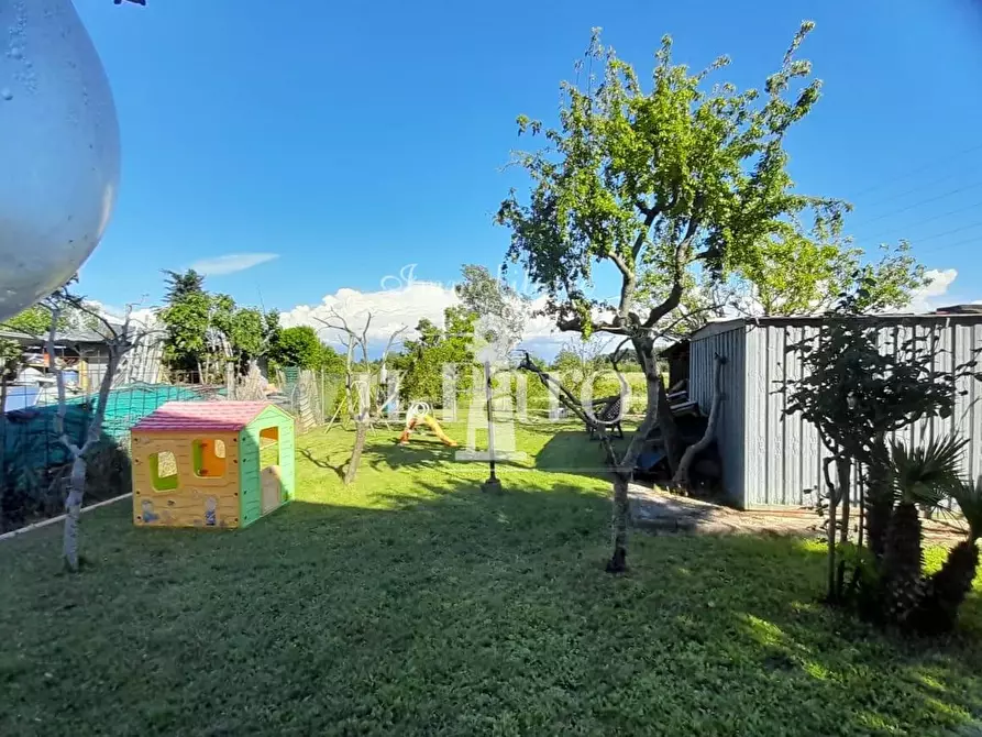 Immagine 15 di Terratetto in vendita  a Signa