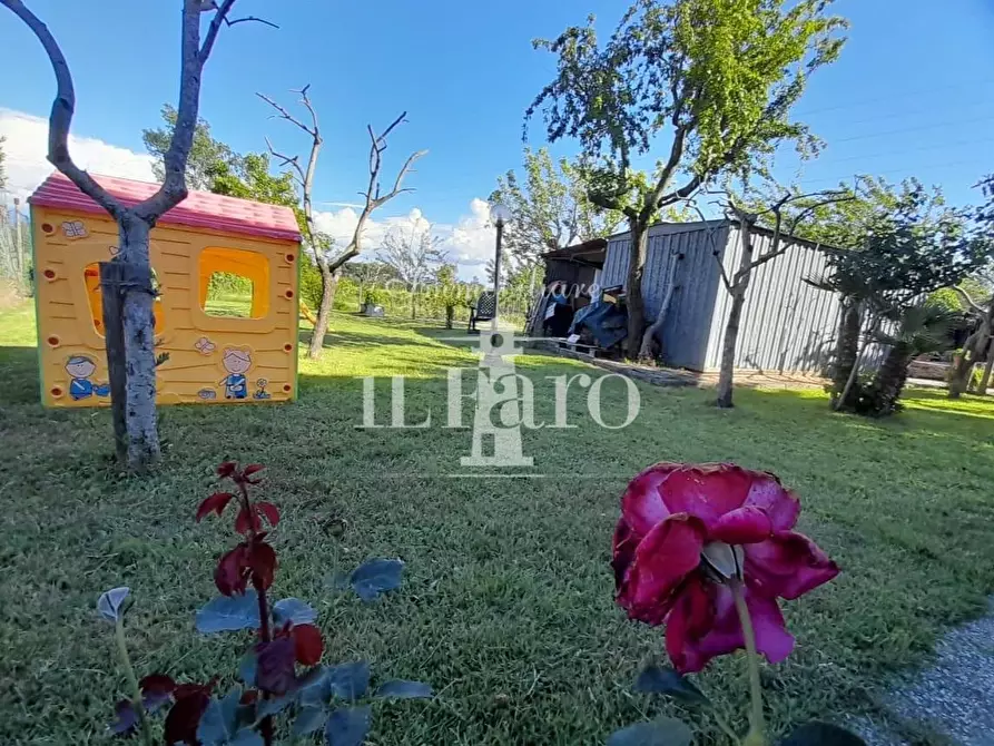 Immagine 19 di Terratetto in vendita  a Signa