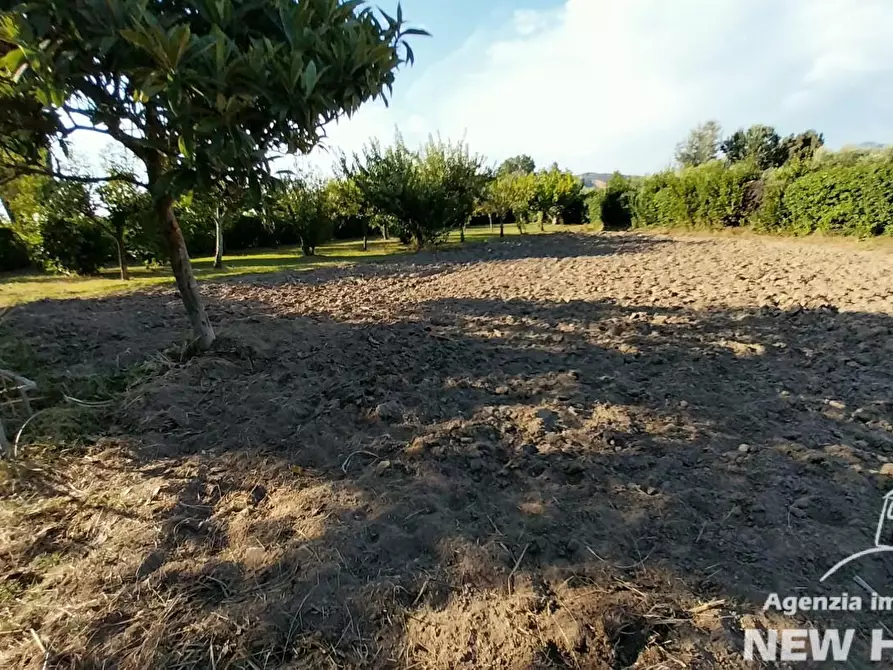 Immagine 7 di Villa in vendita  a San Giuliano Terme