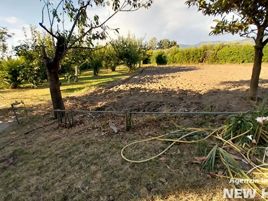 Immagine 6 di Villa in vendita  a San Giuliano Terme