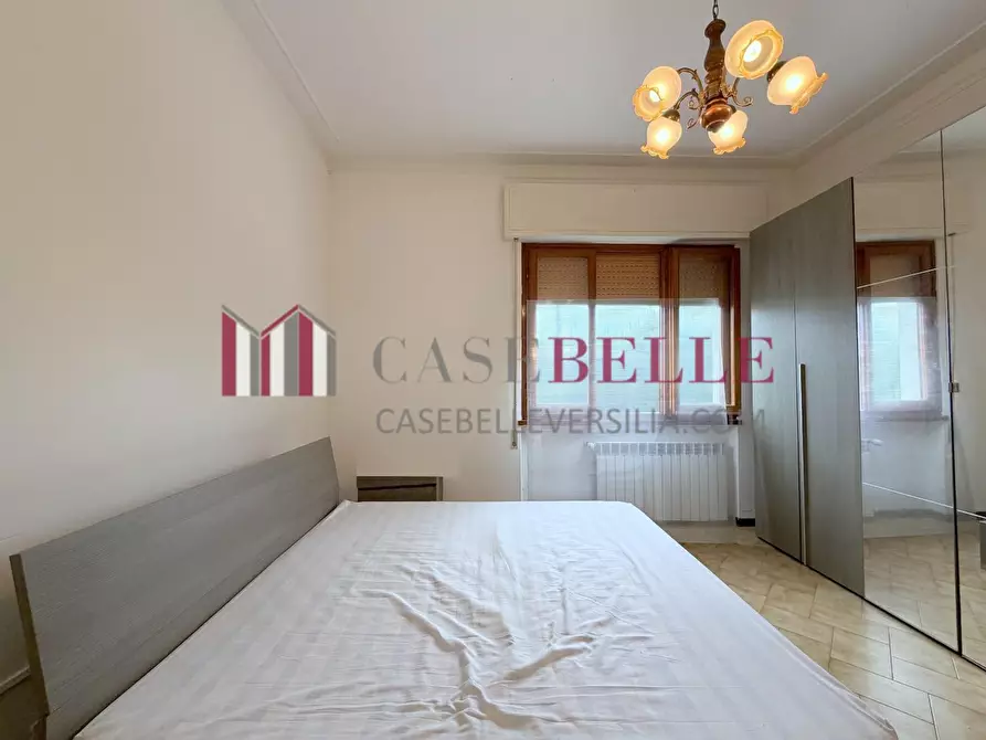 Immagine 48 di Casa indipendente in vendita  a Pietrasanta
