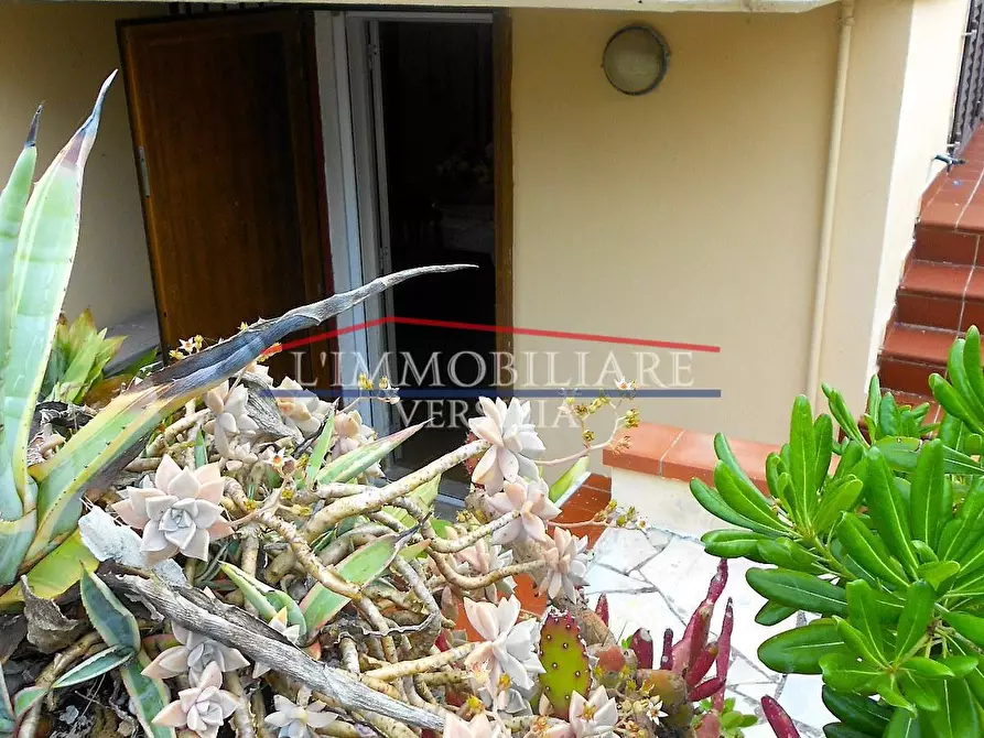 Immagine 43 di Appartamento in vendita  a Carrara