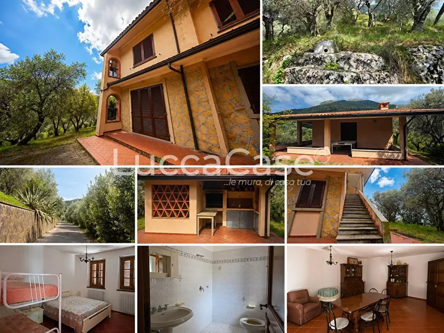 Immagine 9 di Villa in vendita  a Camaiore