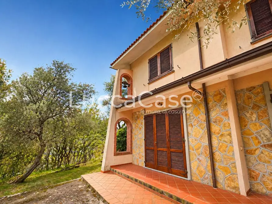 Immagine 8 di Villa in vendita  a Camaiore