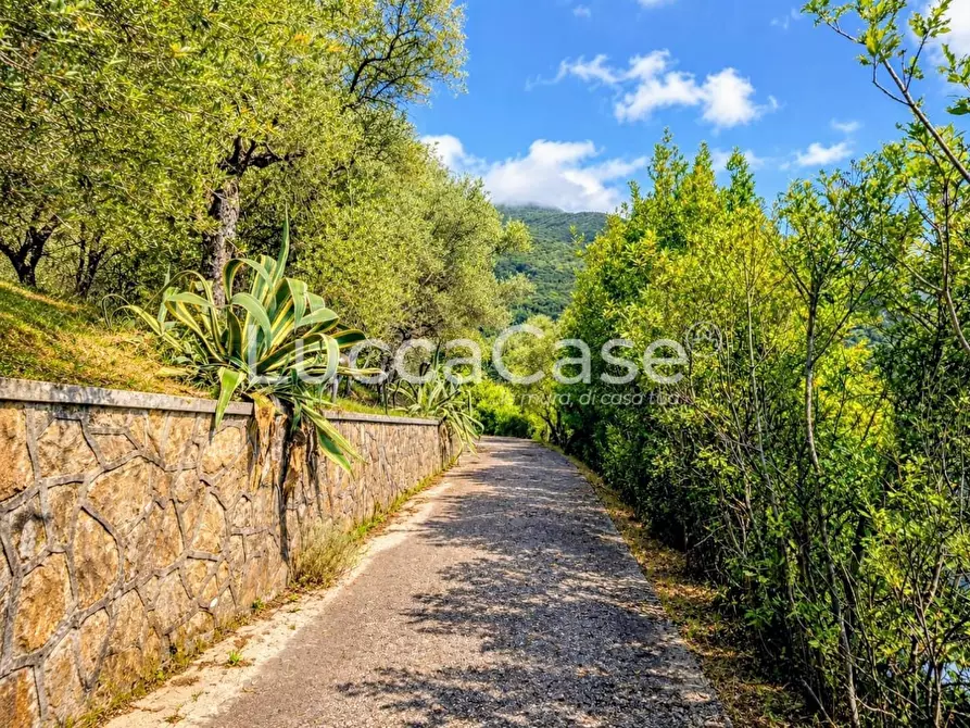 Immagine 10 di Villa in vendita  a Camaiore