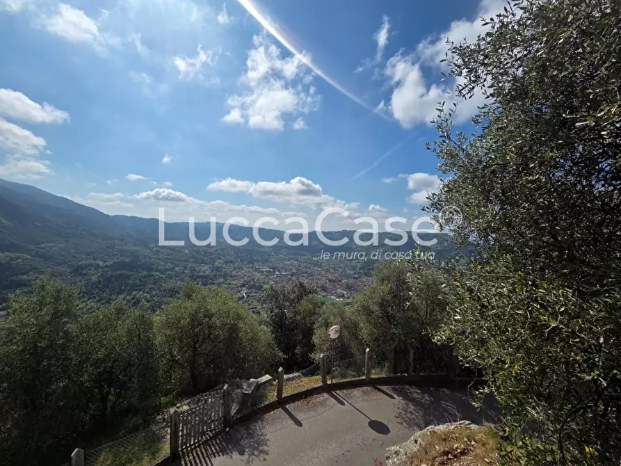Immagine 7 di Villa in vendita  a Camaiore