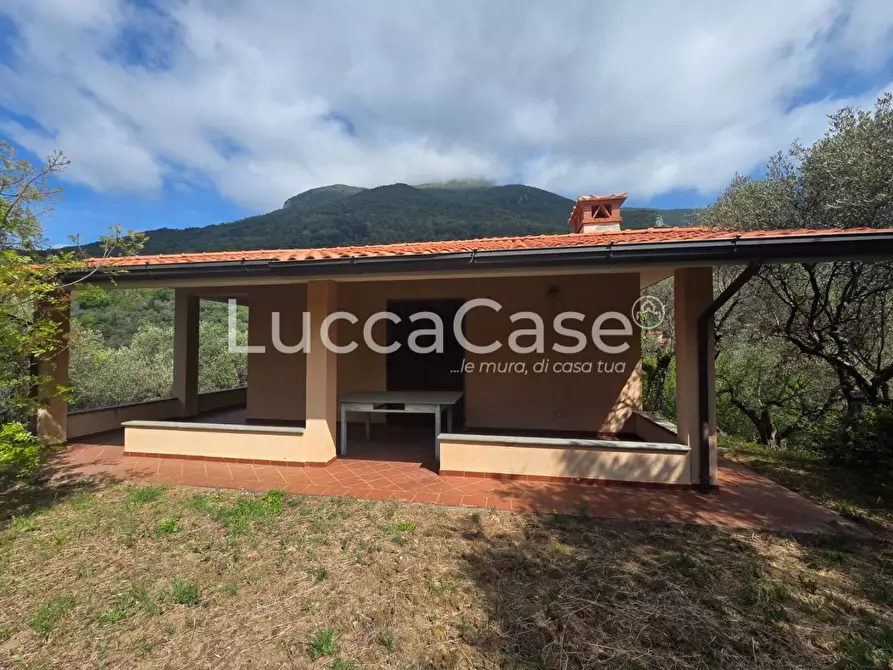 Immagine 6 di Villa in vendita  a Camaiore