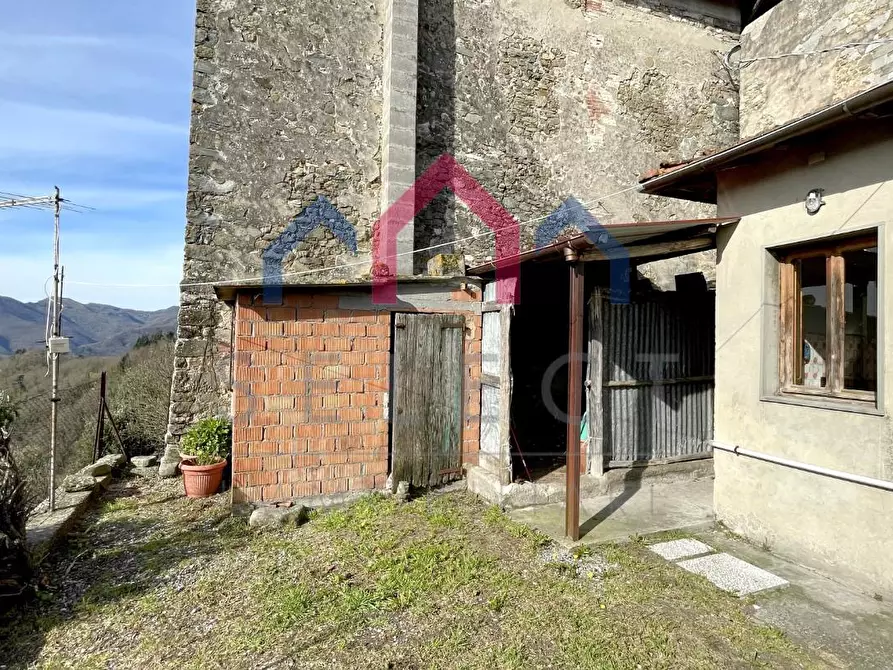 Immagine 28 di Terratetto in vendita  a Coreglia Antelminelli