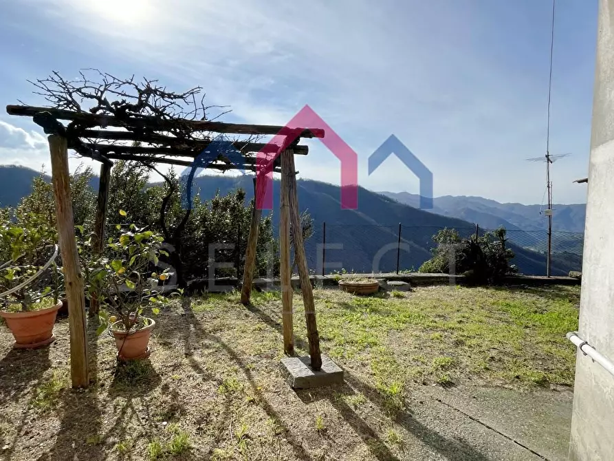 Immagine 26 di Terratetto in vendita  a Coreglia Antelminelli
