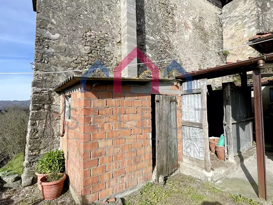 Immagine 29 di Terratetto in vendita  a Coreglia Antelminelli