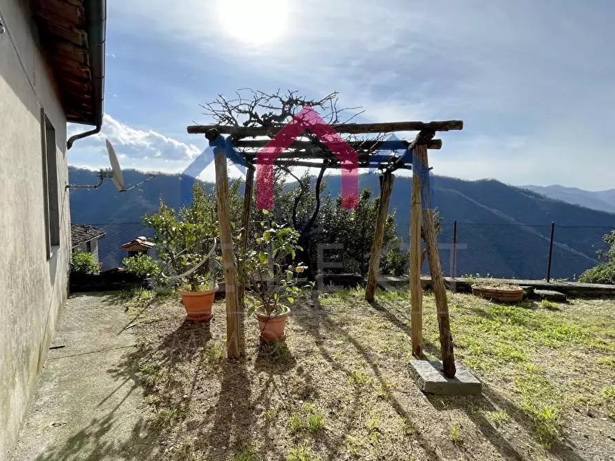 Immagine 27 di Terratetto in vendita  a Coreglia Antelminelli