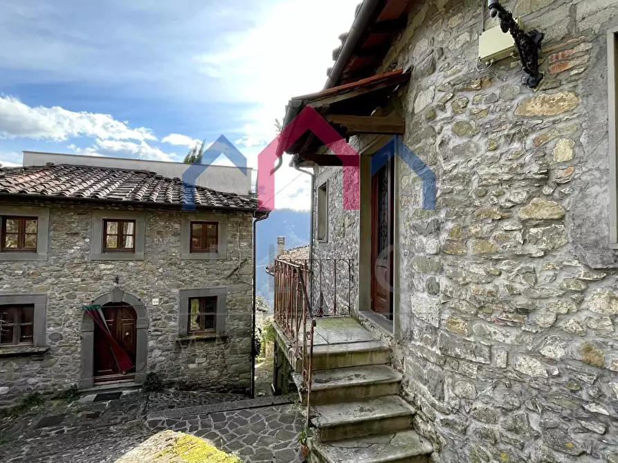 Immagine 3 di Terratetto in vendita  a Coreglia Antelminelli