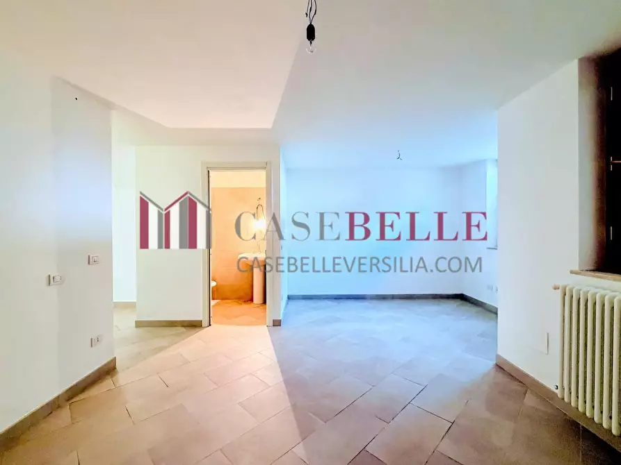 Immagine 19 di Casa bifamiliare in vendita  a Camaiore