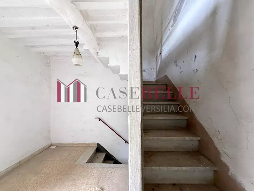 Immagine 21 di Terratetto in vendita  a Camaiore