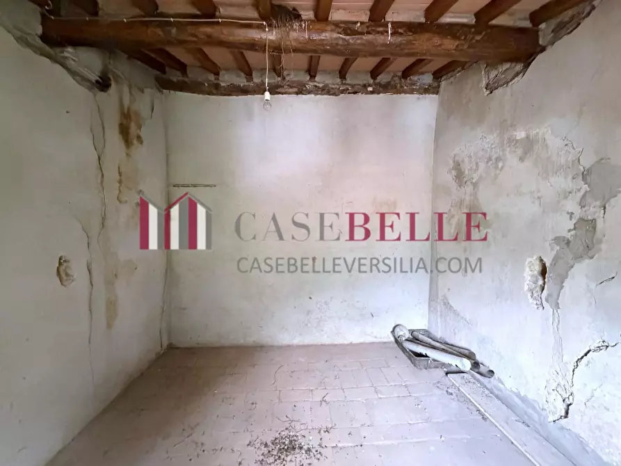 Immagine 25 di Terratetto in vendita  a Camaiore