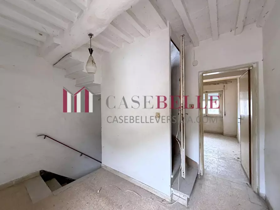 Immagine 17 di Terratetto in vendita  a Camaiore