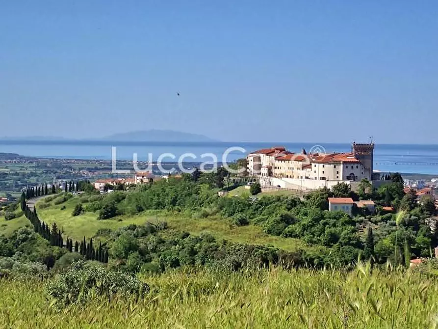 Immagine 1 di Terreno residenziale in vendita  a Rosignano Marittimo