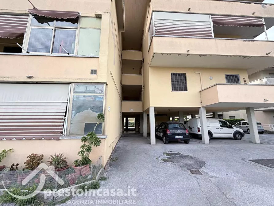 Immagine 26 di Appartamento in vendita  a Viareggio