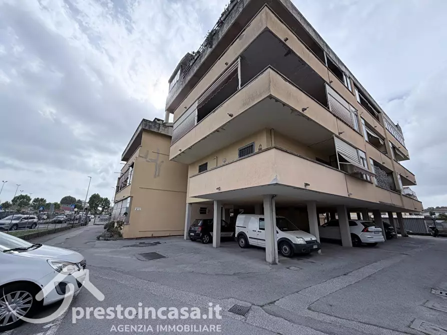 Immagine 25 di Appartamento in vendita  a Viareggio
