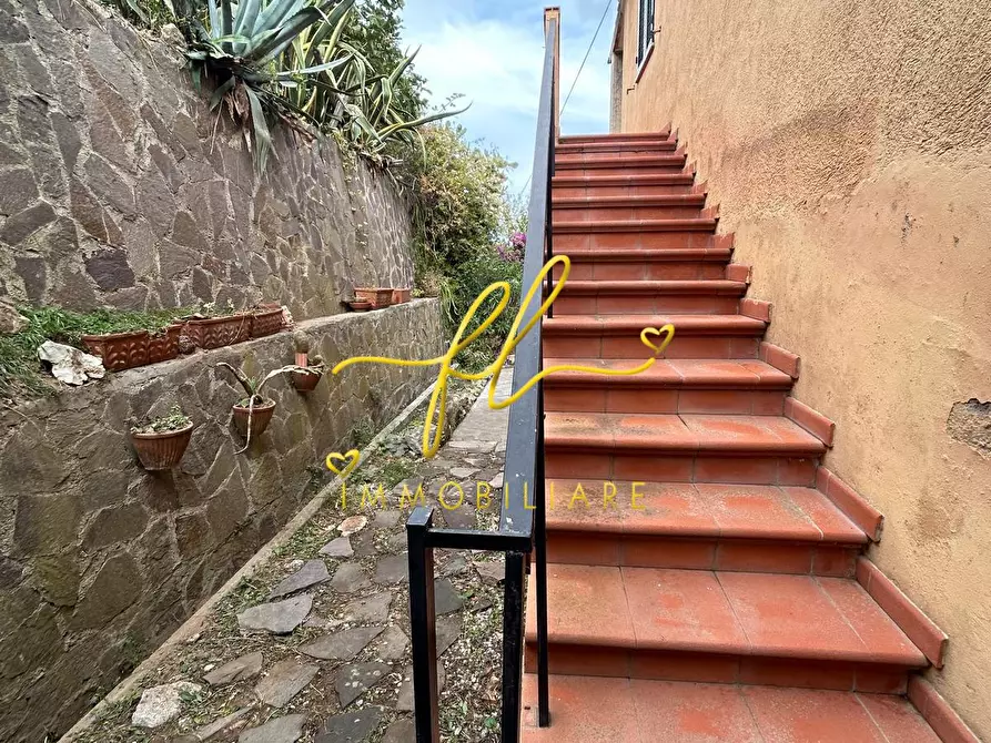 Immagine 11 di Appartamento in vendita  a Marciana