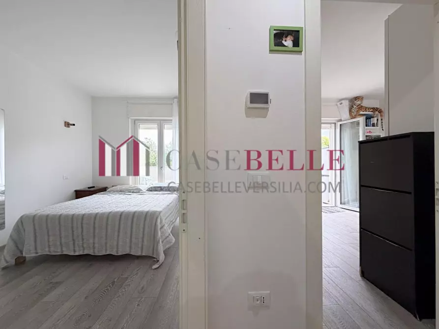 Immagine 29 di Appartamento in vendita  a Massa
