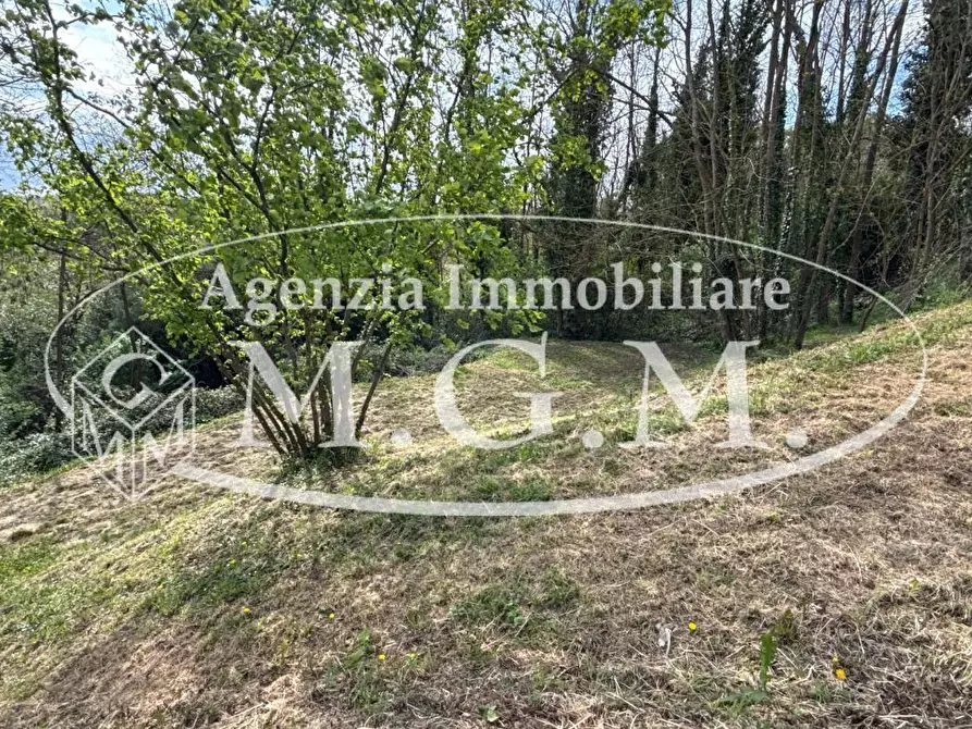 Immagine 44 di Casa indipendente in vendita  a Bientina