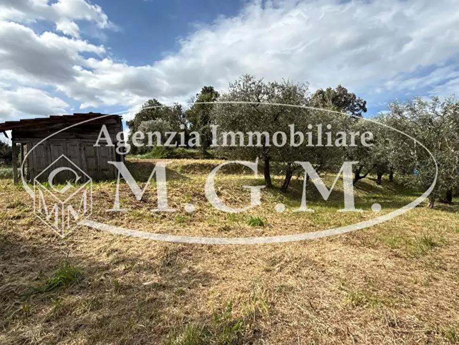 Immagine 45 di Casa indipendente in vendita  a Bientina