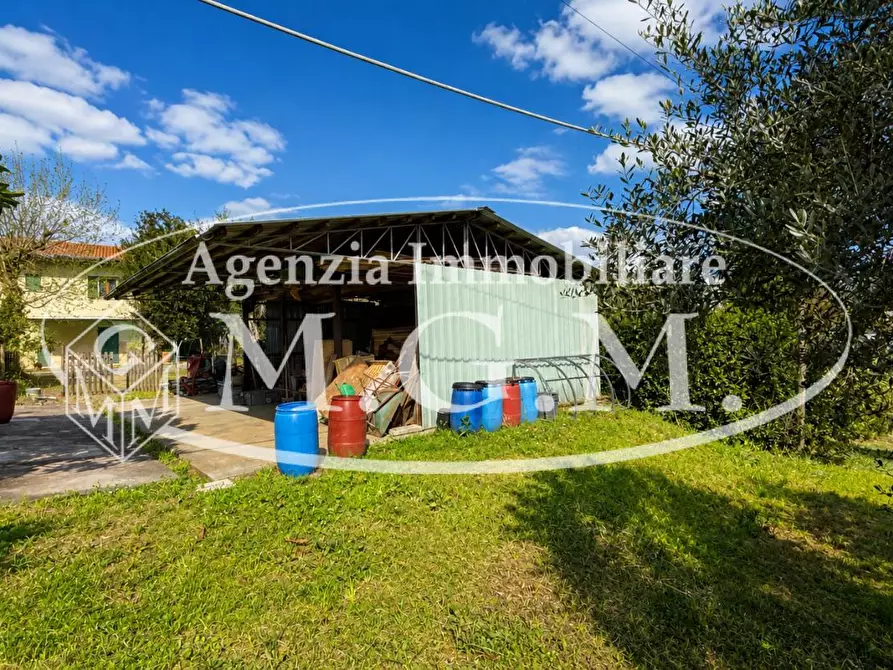 Immagine 39 di Casa indipendente in vendita  a Bientina