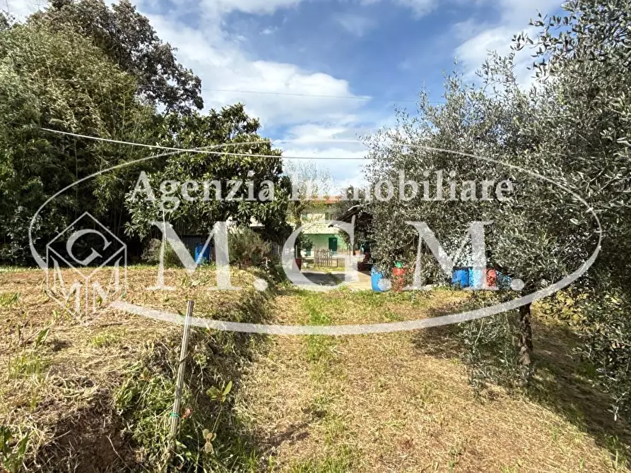 Immagine 46 di Casa indipendente in vendita  a Bientina