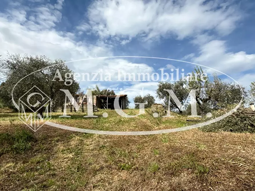 Immagine 49 di Casa indipendente in vendita  a Bientina