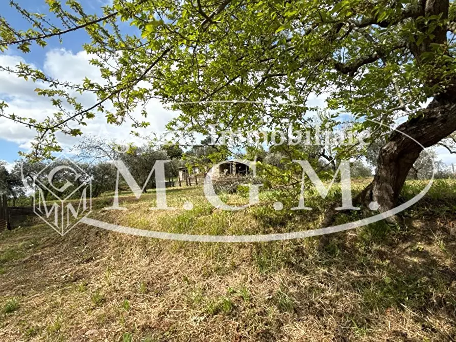 Immagine 47 di Casa indipendente in vendita  a Bientina