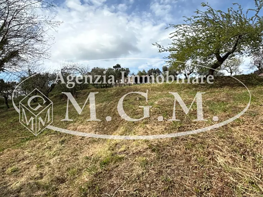 Immagine 43 di Casa indipendente in vendita  a Bientina