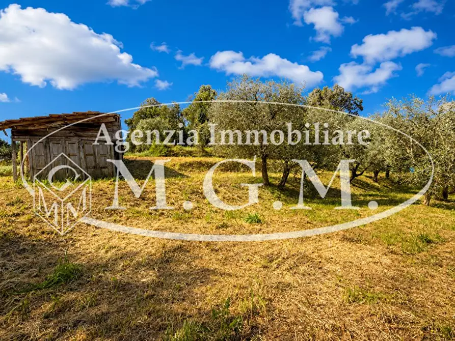Immagine 40 di Casa indipendente in vendita  a Bientina