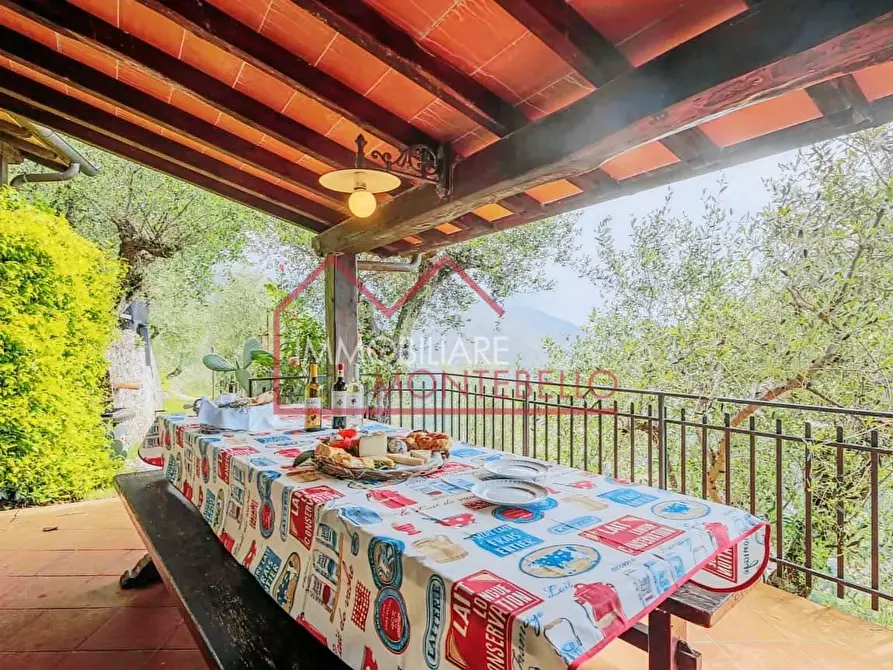 Immagine 24 di Rustico / casale in vendita  a Camaiore