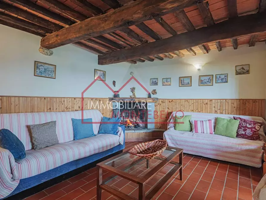 Immagine 14 di Rustico / casale in vendita  a Camaiore