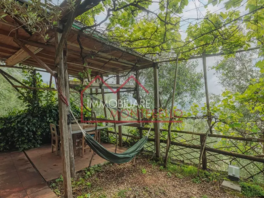 Immagine 48 di Rustico / casale in vendita  a Camaiore