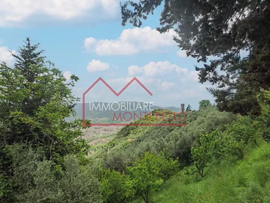 Immagine 4 di Rustico / casale in vendita  a Camaiore