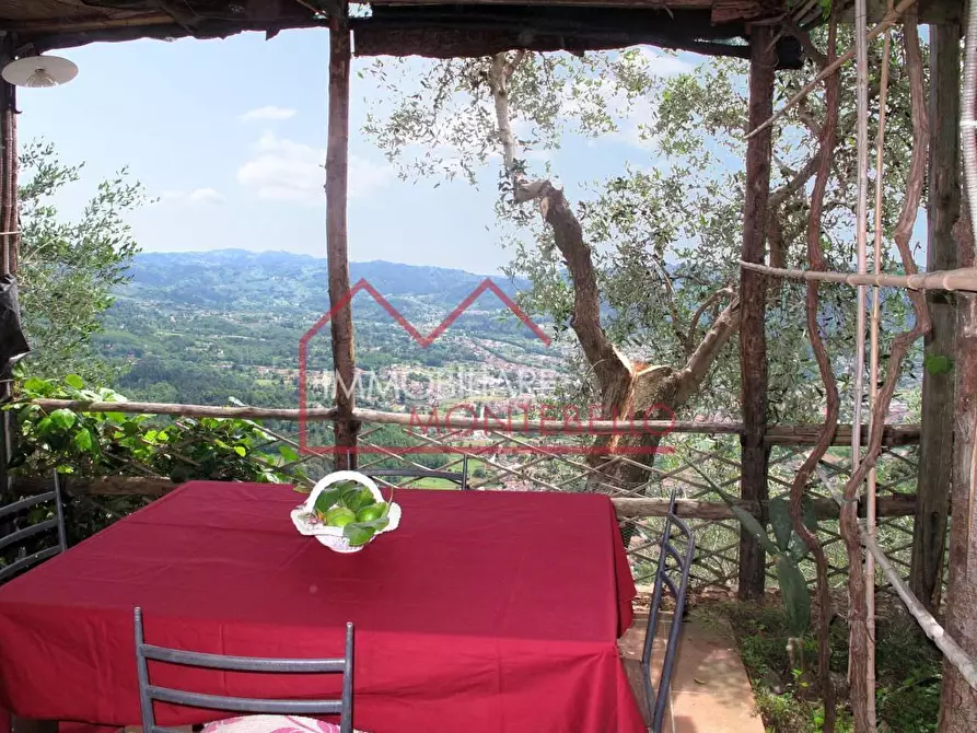 Immagine 42 di Rustico / casale in vendita  a Camaiore